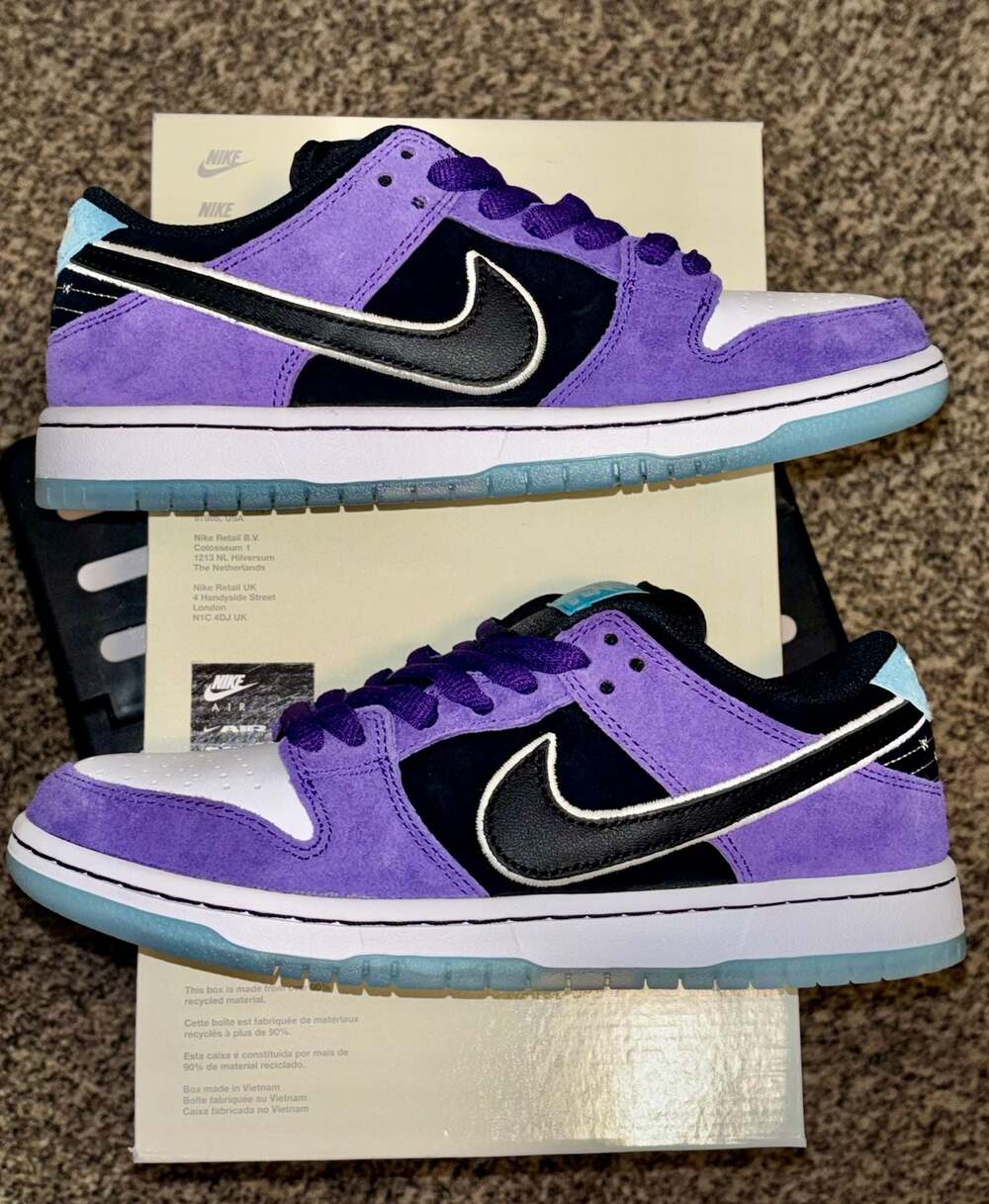 Nike SB Dunk Low x Hayley Wilson [HJ0513-500] size 6.5 men’s. NEW.